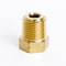 Homeplus+ ATC 1/8 in. MPT Brass Hex Head Plug 6JC120810701016 - alternate 2